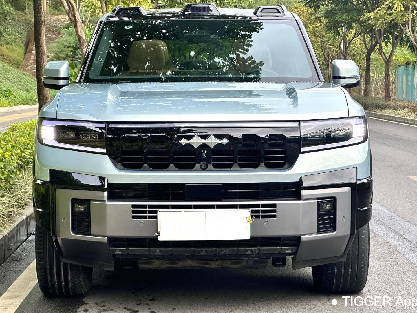 Formula Leopard‌ 2025 Leopard 8 2.0T Stepless Intelligent Brave Flagship Edition 6-seater Automatic Transmission