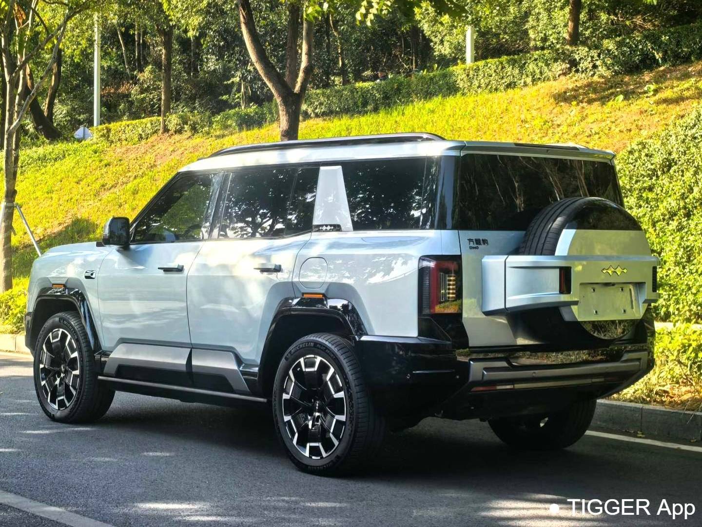 Formula Leopard‌ 2025 Leopard 8 2.0T Stepless Intelligent Brave Flagship Edition 7-seater Automatic Transmission