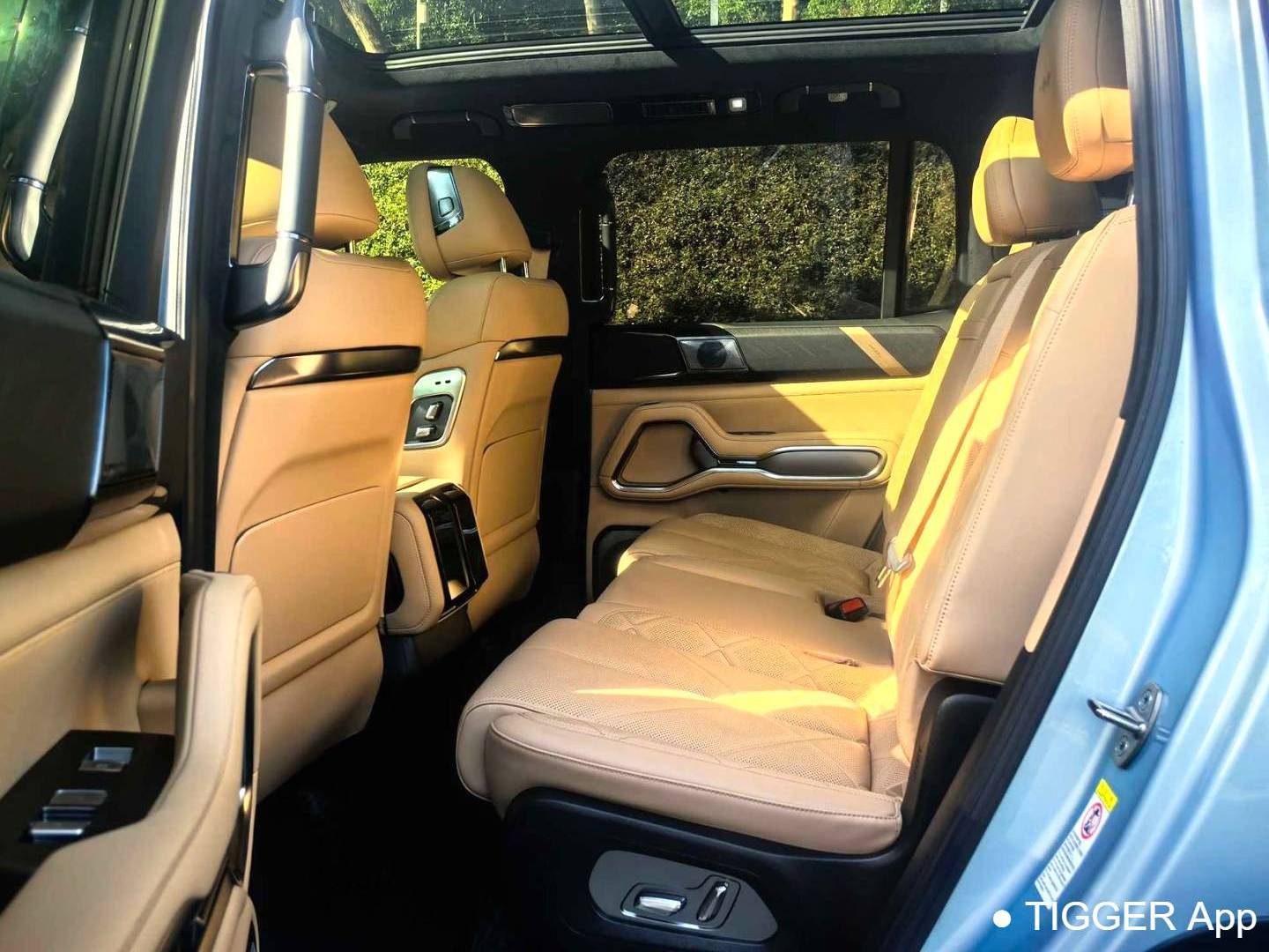 Formula Leopard‌ 2025 Leopard 8 2.0T Stepless Intelligent Brave Flagship Edition 7-seater Automatic Transmission
