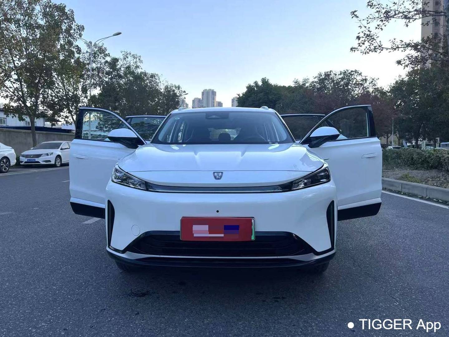 ROEWE 2024 D5X DMH 1.5T 135 Technology Edition Automatic Transmission