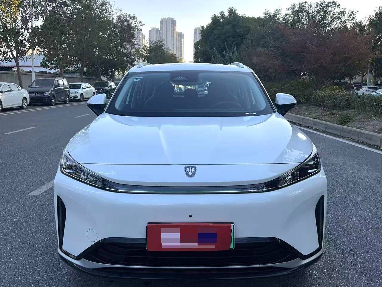 ROEWE 2024 D5X DMH 1.5T 135 Technology Edition Automatic Transmission