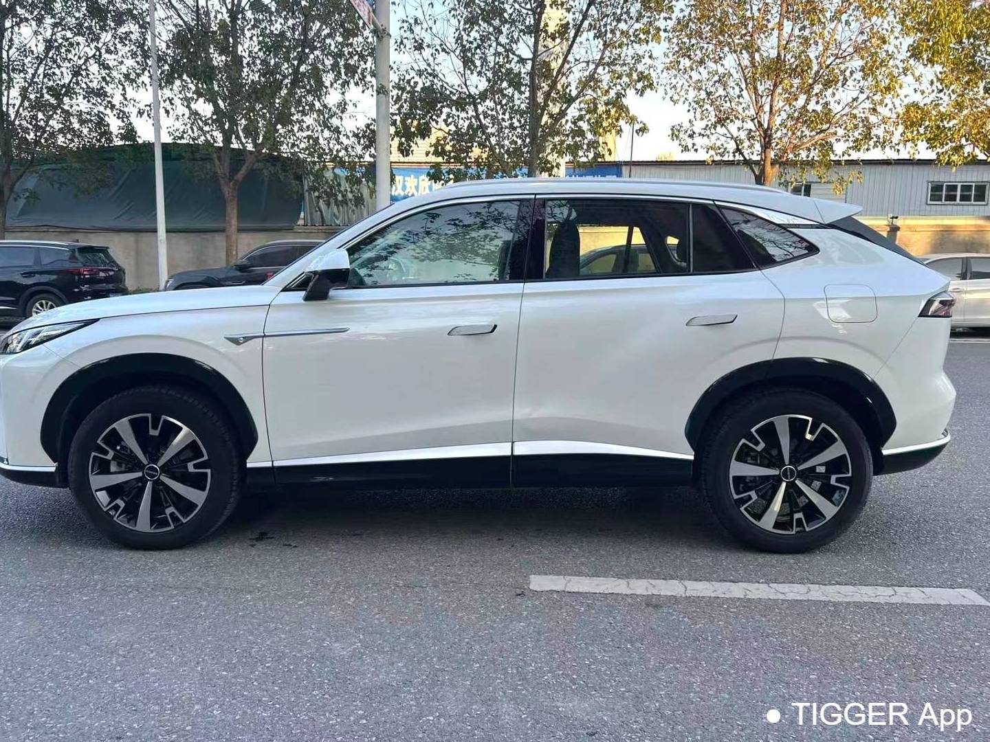 ROEWE 2024 D5X DMH 1.5T 135 Technology Edition Automatic Transmission