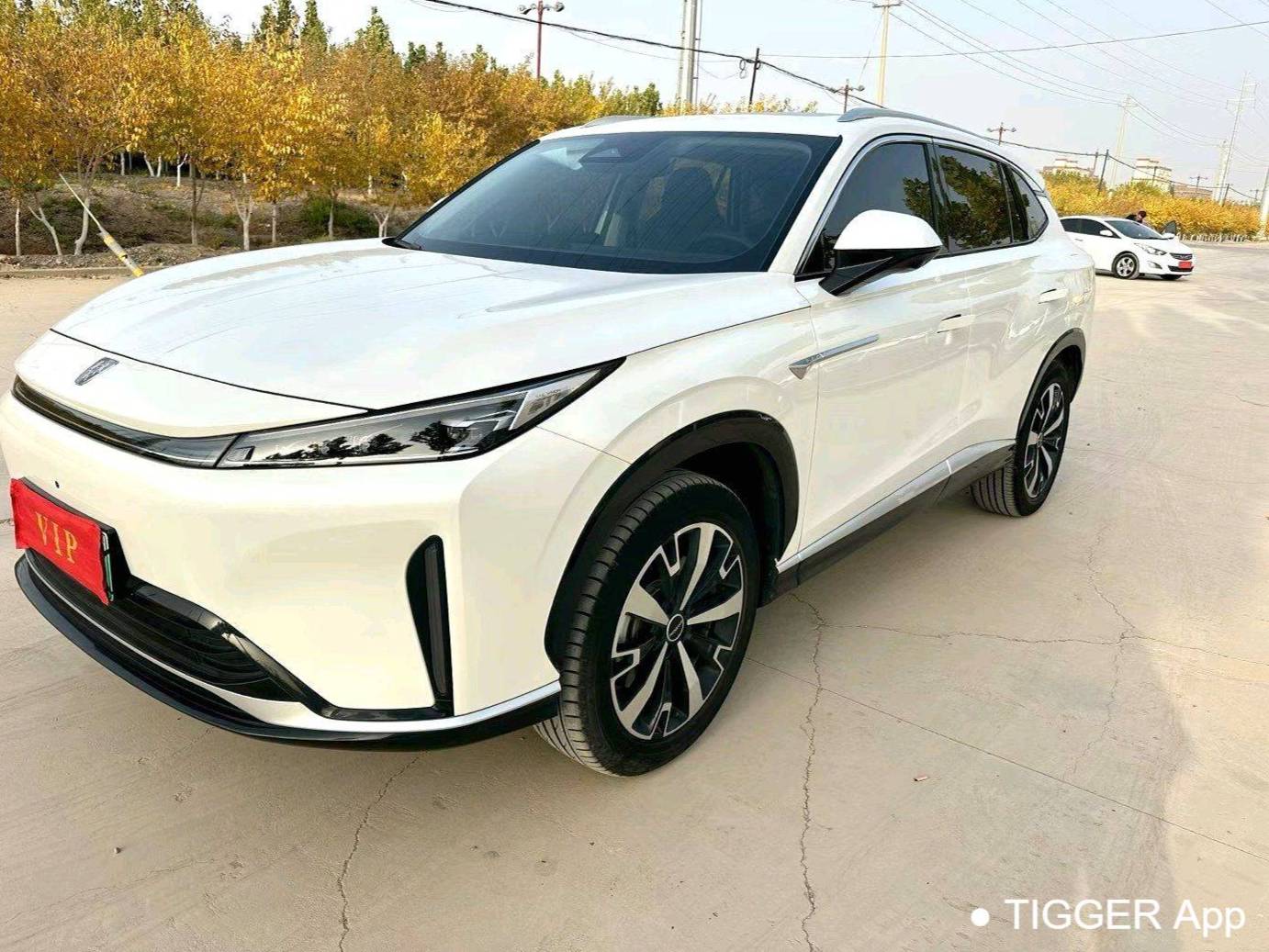 ROEWE 2024 D5X DMH 1.5T 135 Flagship Automatic Transmission
