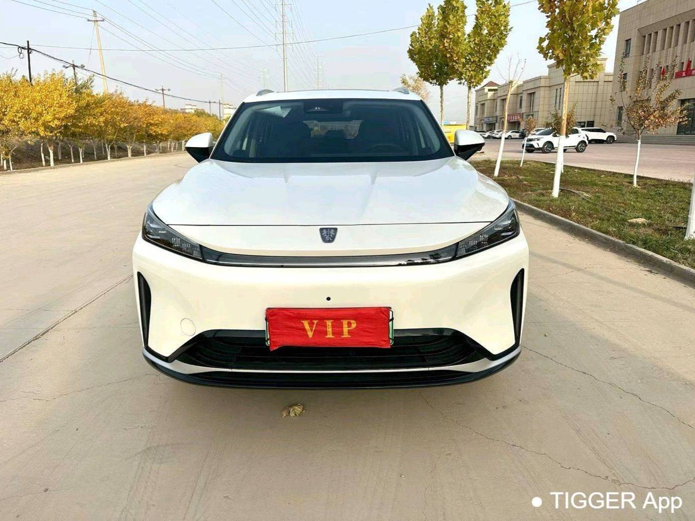 ROEWE 2024 D5X DMH 1.5T 135 Flagship Automatic Transmission