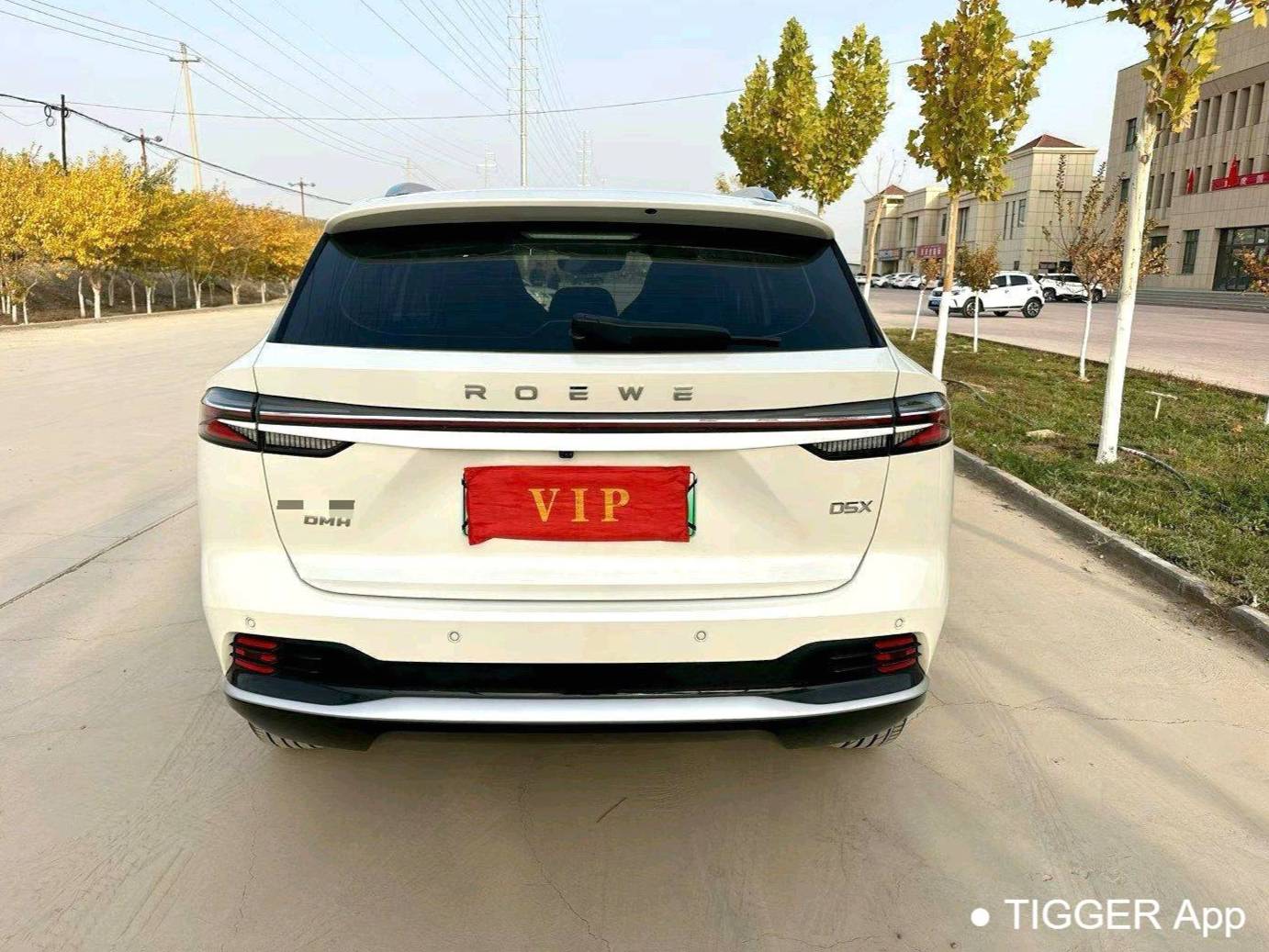 ROEWE 2024 D5X DMH 1.5T 135 Flagship Automatic Transmission