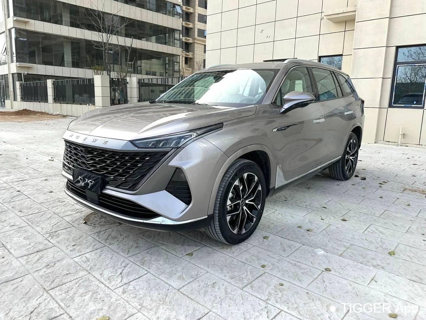 ROEWE 2023 RX9 2.0T 2WD Premium Edition Automatic Transmission