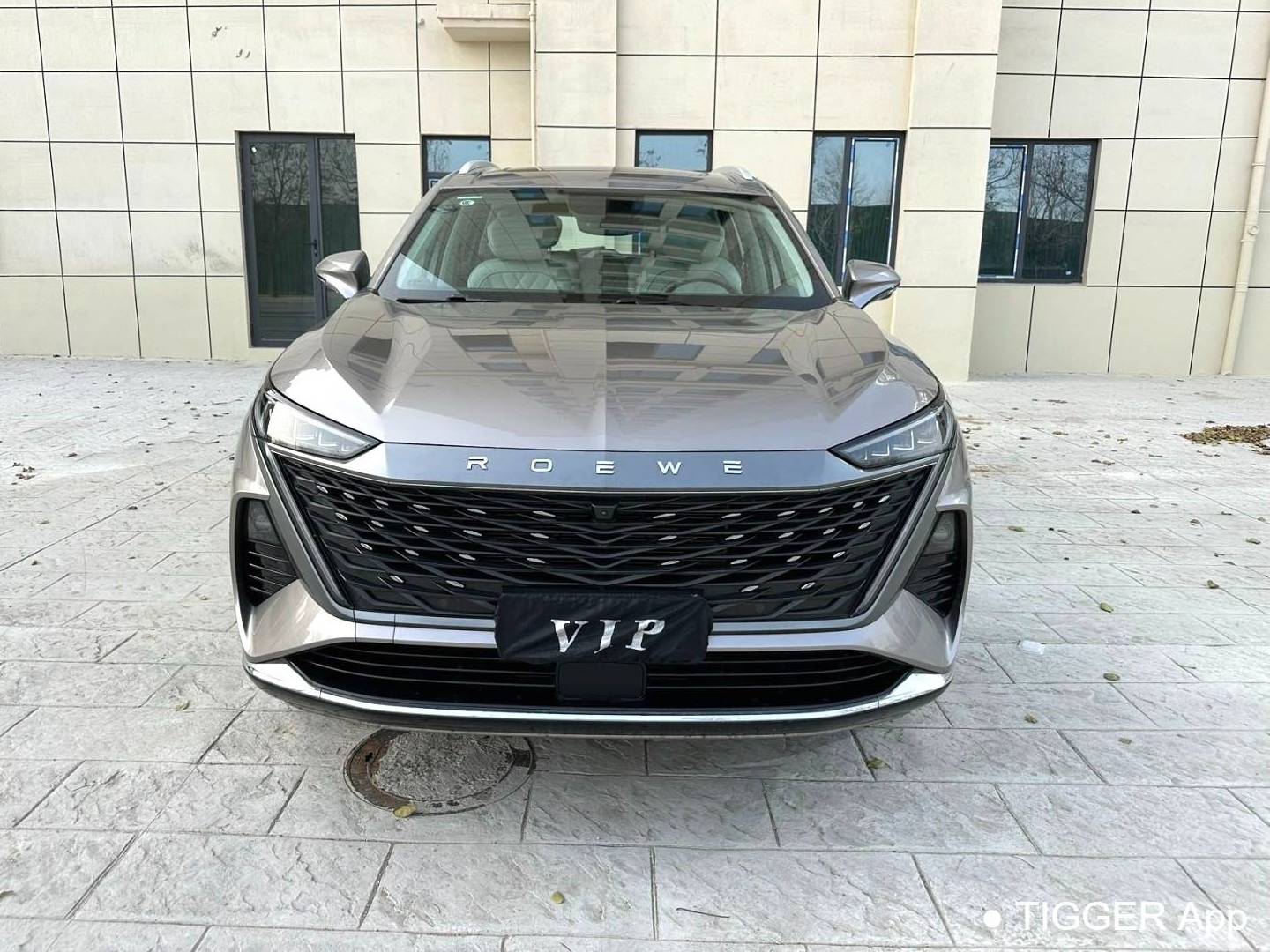 ROEWE 2023 RX9 2.0T 2WD Premium Edition Automatic Transmission