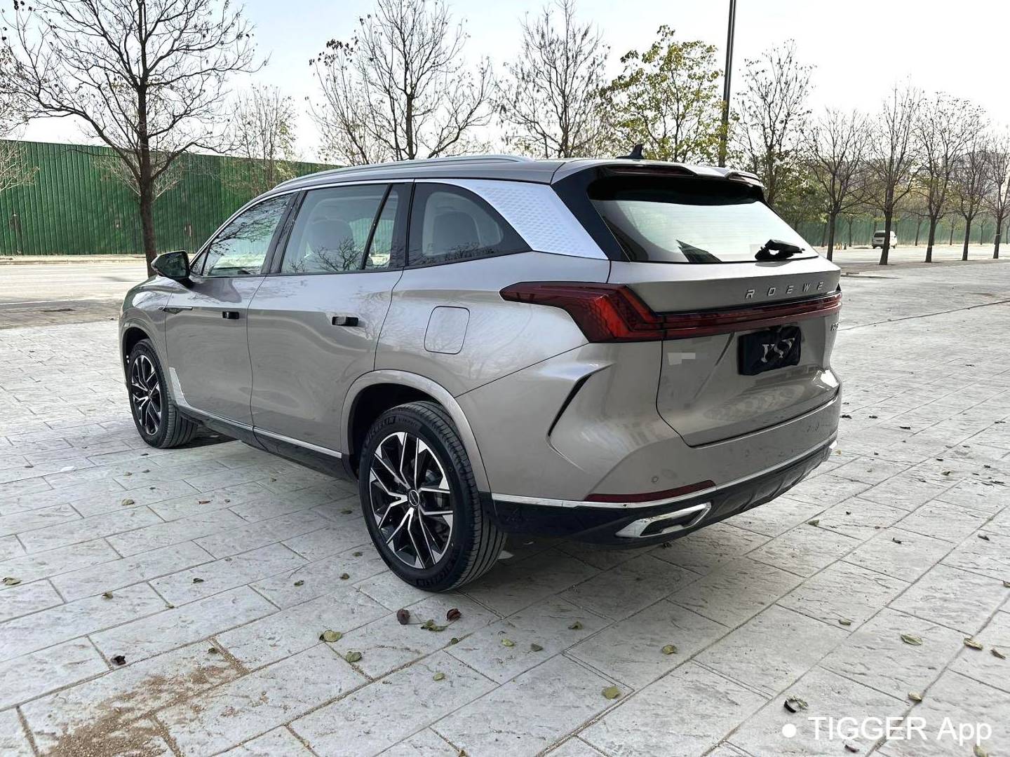ROEWE 2023 RX9 2.0T 2WD Premium Edition Automatic Transmission