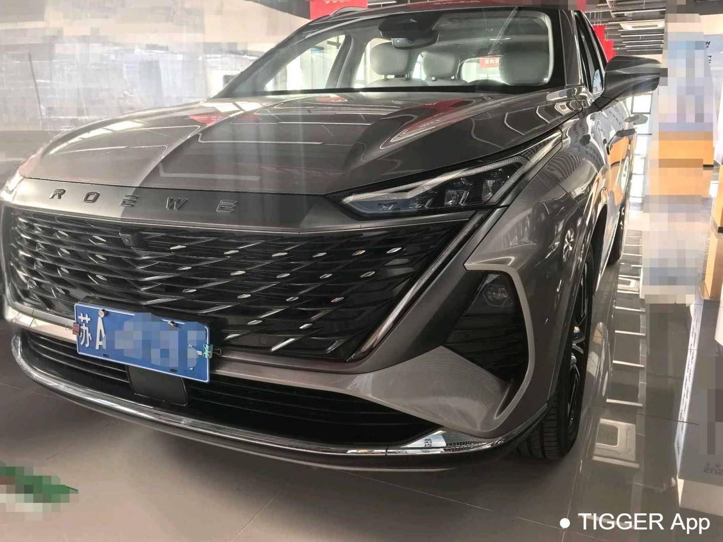 ROEWE 2023 RX9 2.0T 2WD Enjoyment Edition Automatic Transmission