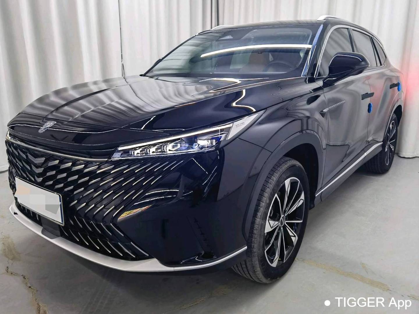  ROEWE RX5 2023 1.5TGI 330TGI Super Sensory Flagship Edition (Automatic)