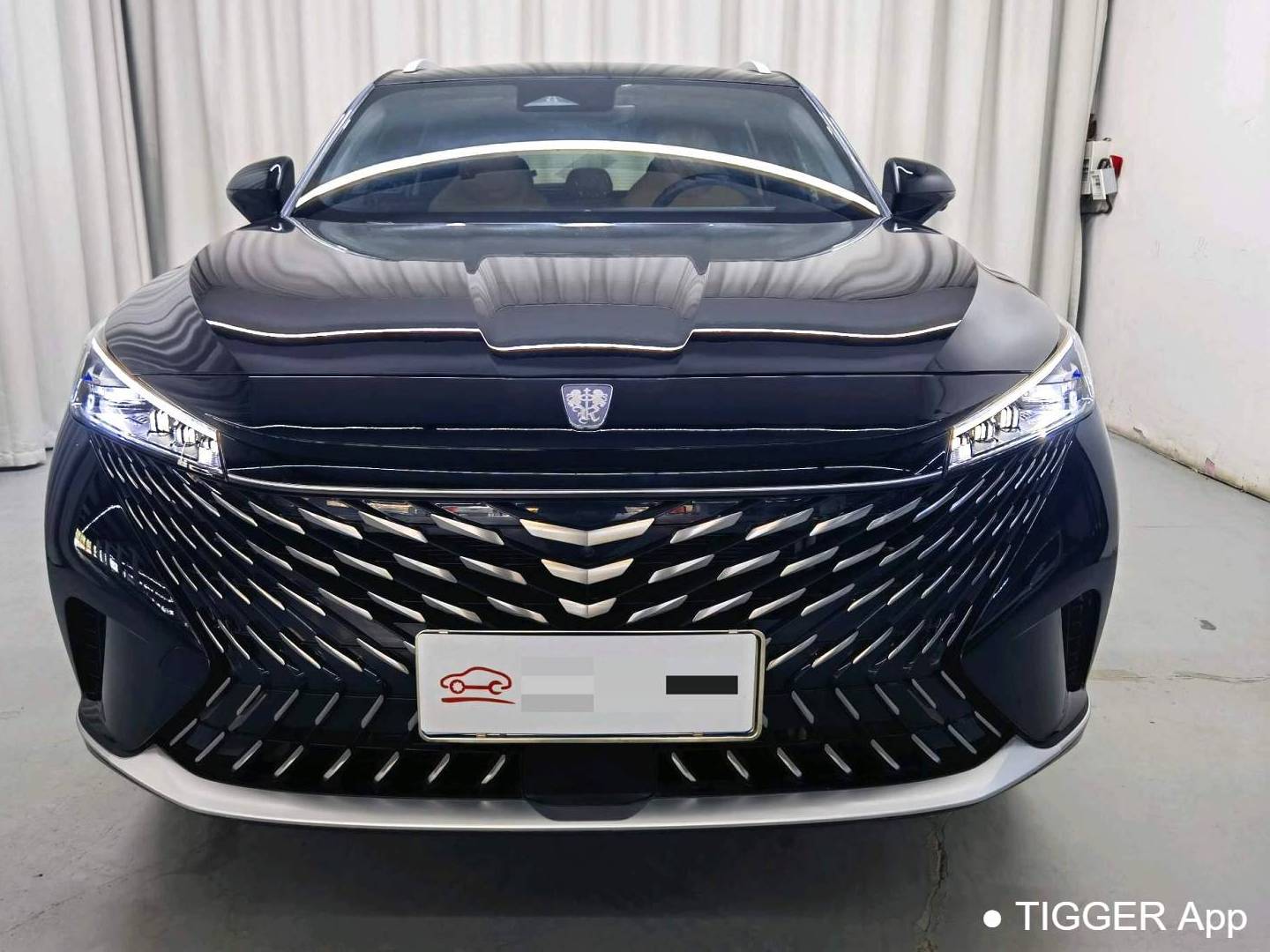  ROEWE RX5 2023 1.5TGI 330TGI Super Sensory Flagship Edition (Automatic)