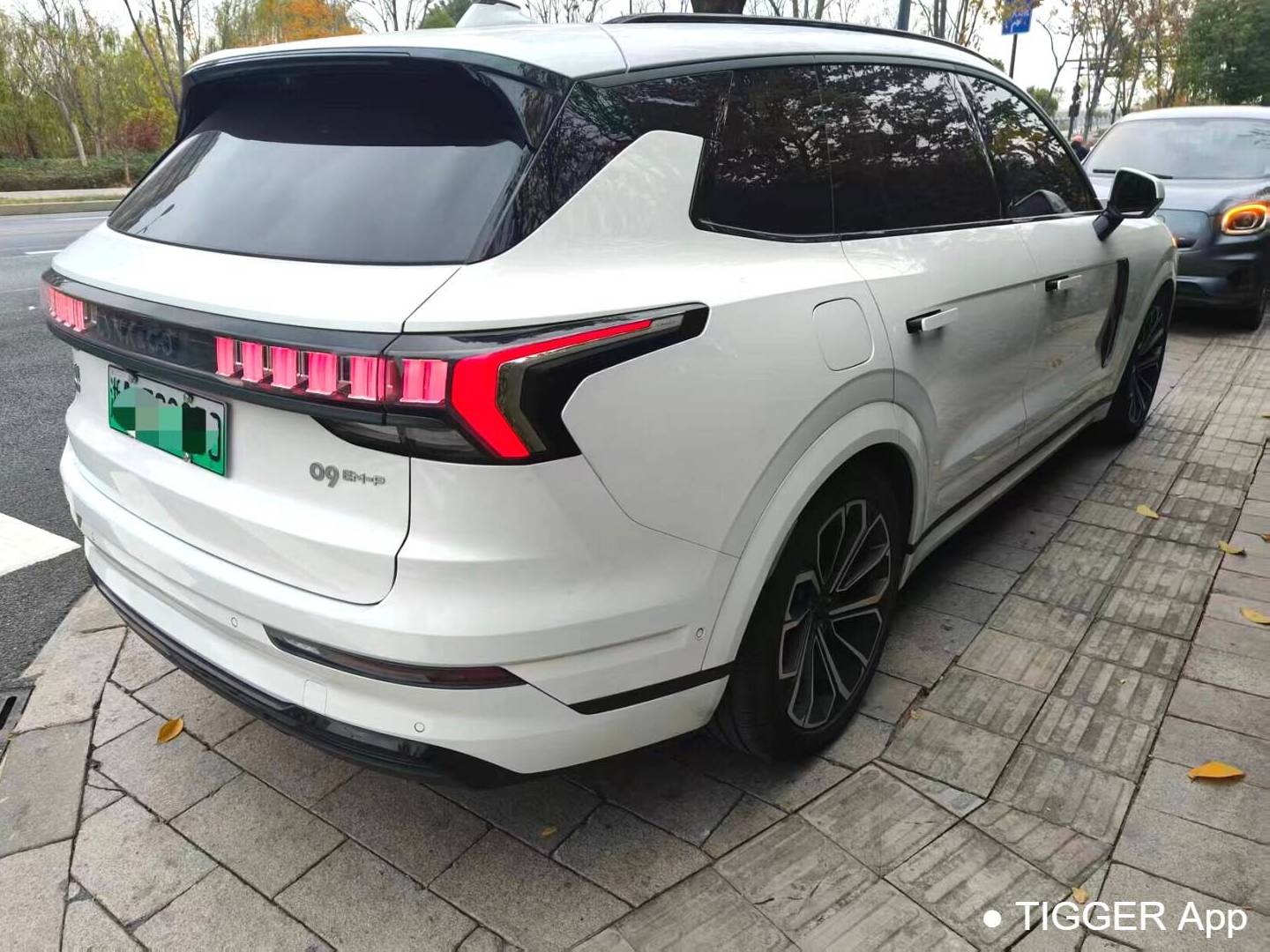 LYNK&CO 2024 LYNK&CO 09 EM-P 2.0TD ULTRA 6-seater automatic transmission