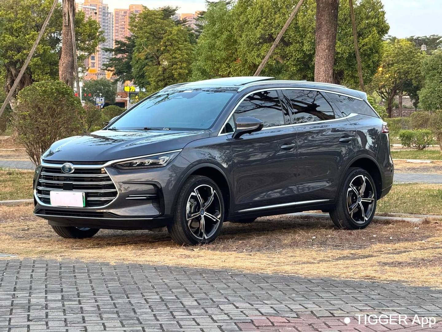 BYD TANG New Energy 2021 TANG DM-i 1.5T Stepless 112KM Honor Automatic Transmission
