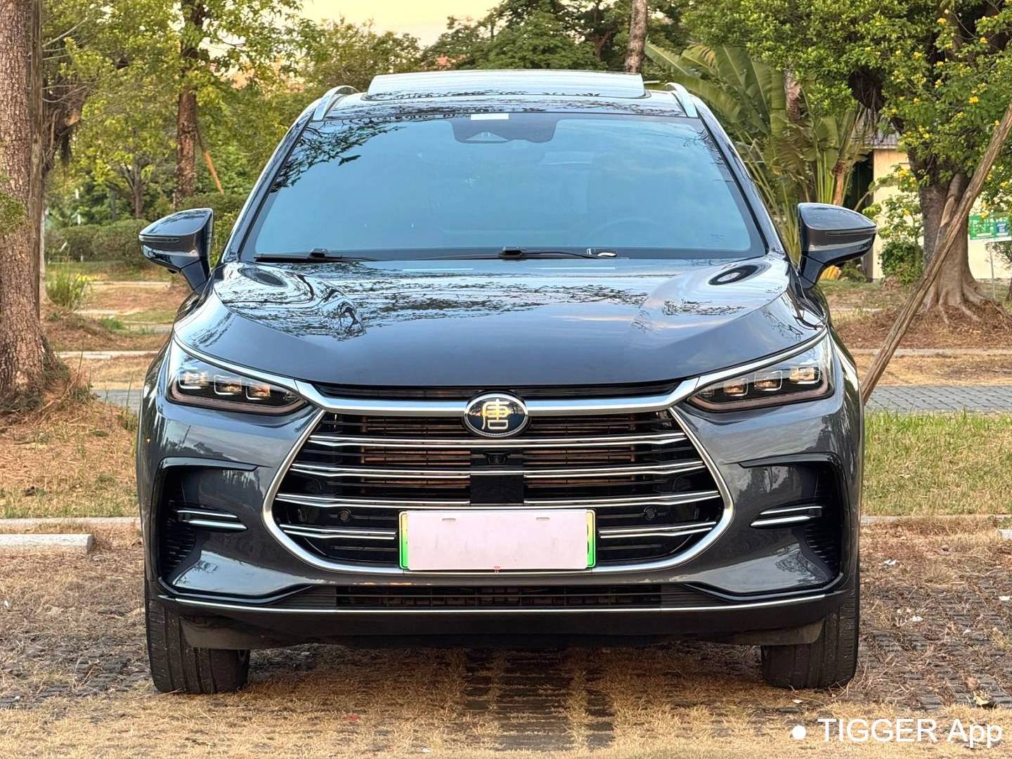 BYD TANG New Energy 2021 TANG DM-i 1.5T Stepless 112KM Honor Automatic Transmission