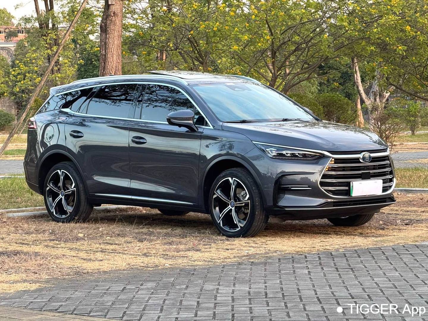 BYD TANG New Energy 2021 TANG DM-i 1.5T Stepless 112KM Honor Automatic Transmission