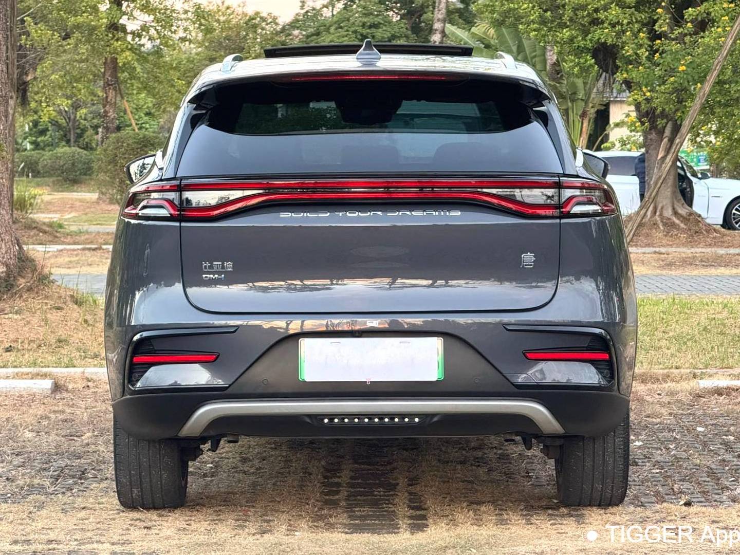 BYD TANG New Energy 2021 TANG DM-i 1.5T Stepless 112KM Honor Automatic Transmission