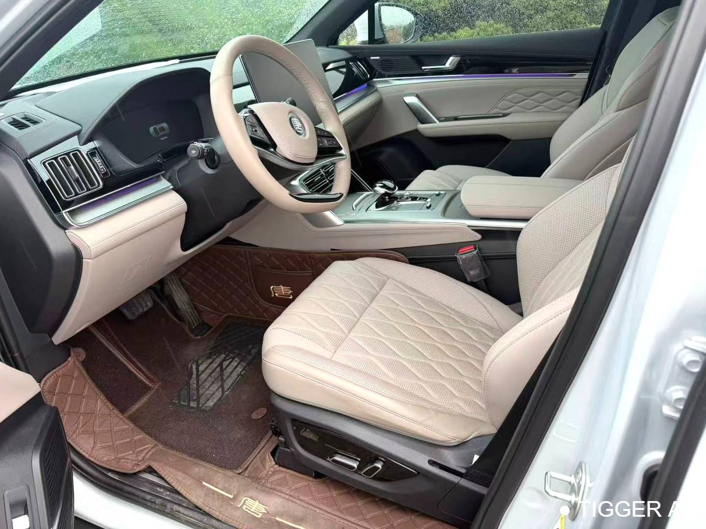 BYD TANG New Energy 2024 TANG DM-i 1.5T Stepless Honor Edition 112KM Honor Automatic Transmission