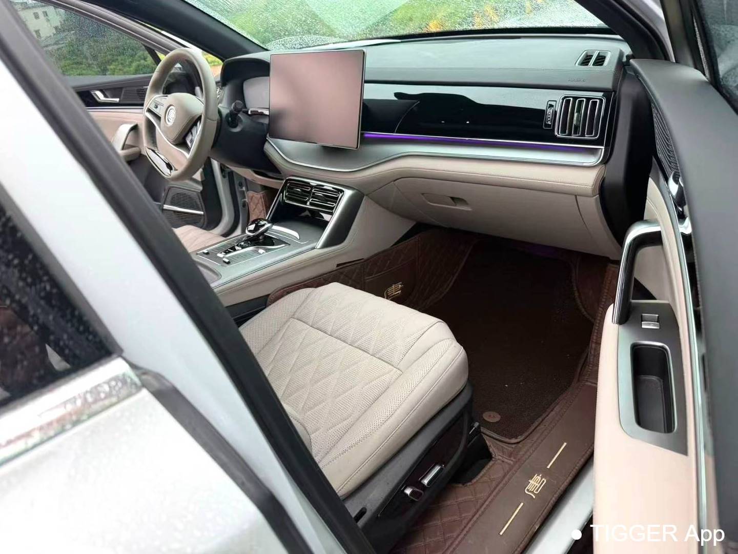 BYD TANG New Energy 2024 TANG DM-i 1.5T Stepless Honor Edition 112KM Honor Automatic Transmission