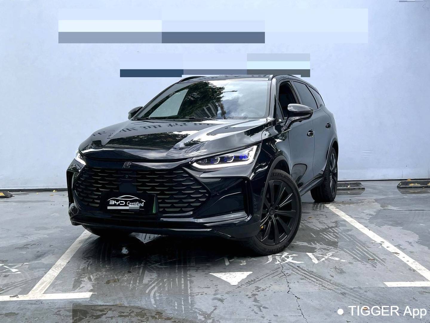 BYD TANG New Energy 2024 TANG DM-p 1.5T Stepless God of War Edition Automatic Transmission