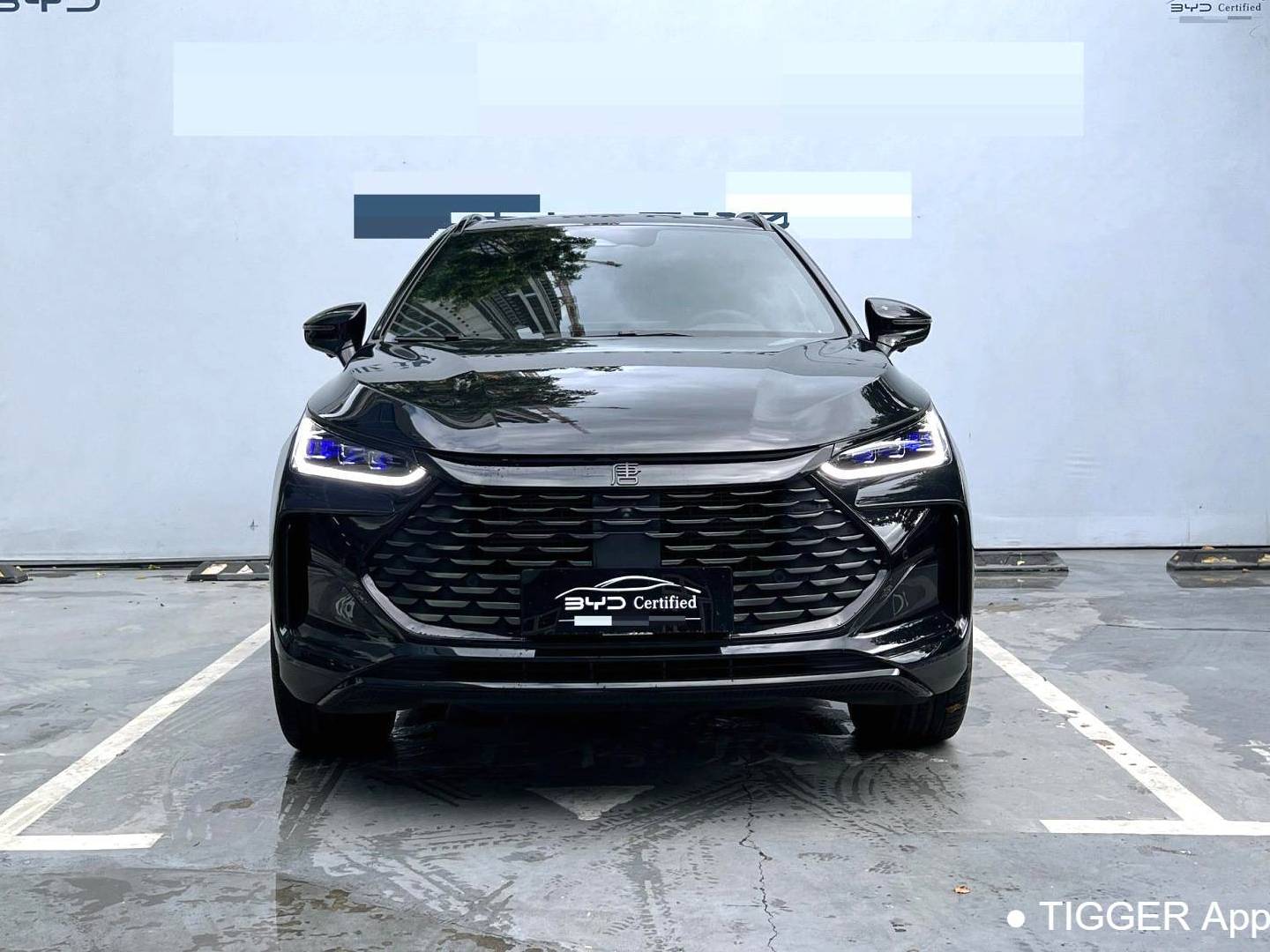 BYD TANG New Energy 2024 TANG DM-p 1.5T Stepless God of War Edition Automatic Transmission