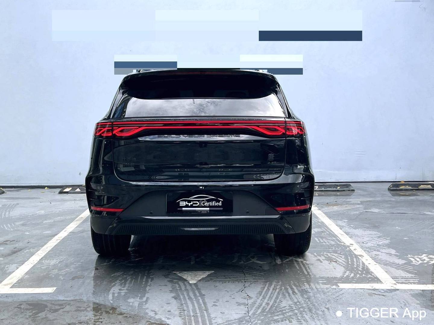 BYD TANG New Energy 2024 TANG DM-p 1.5T Stepless God of War Edition Automatic Transmission