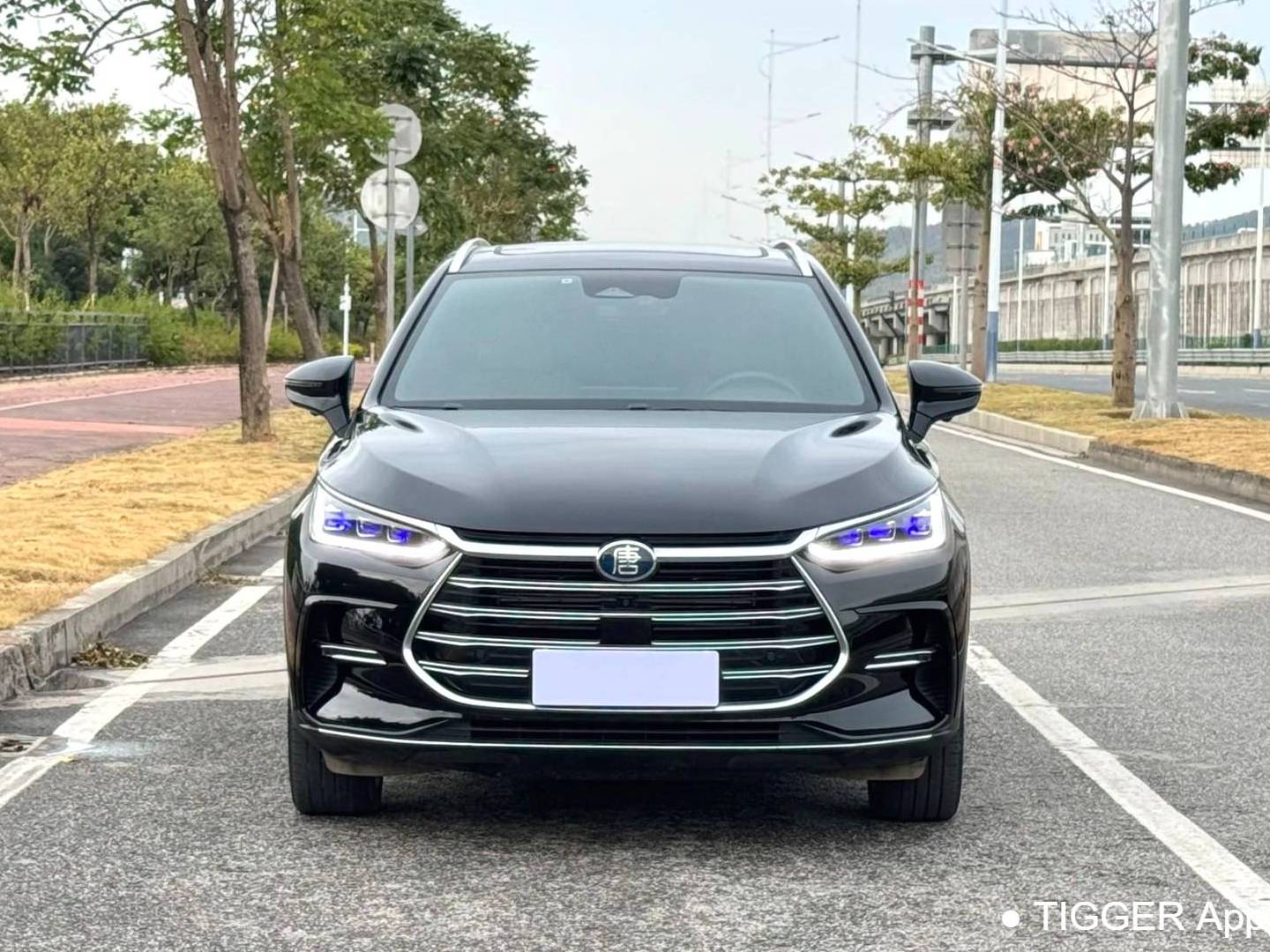 BYD TANG New Energy 2021 TANG DM-i 1.5T Stepless 112KM Prestige Automatic Transmission