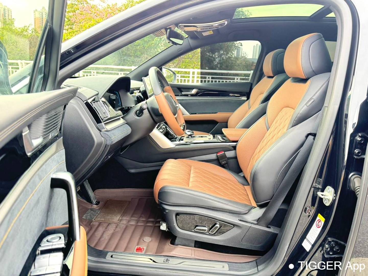 BYD TANG New Energy 2021 TANG DM-i 1.5T Stepless 112KM Prestige Automatic Transmission