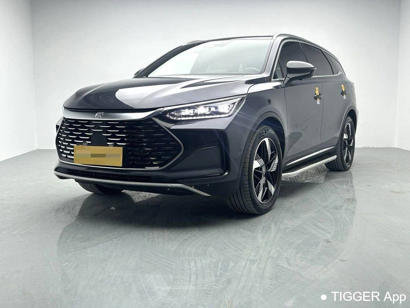 BYD TANG New Energy 2024 TANG DM-i 1.5T Stepless Honor Edition 112KM Honor Automatic Transmission