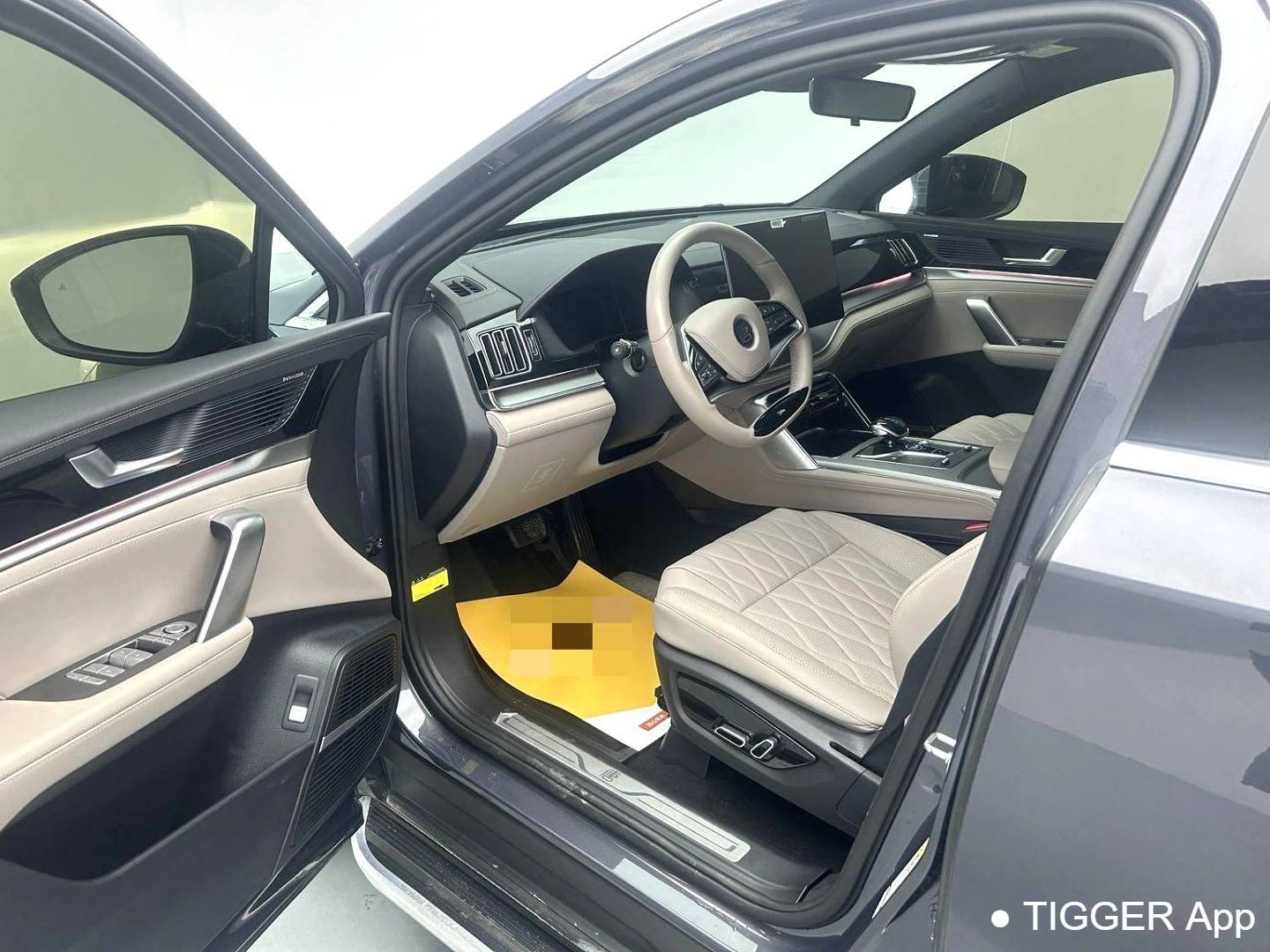 BYD TANG New Energy 2024 TANG DM-i 1.5T Stepless Honor Edition 112KM Honor Automatic Transmission
