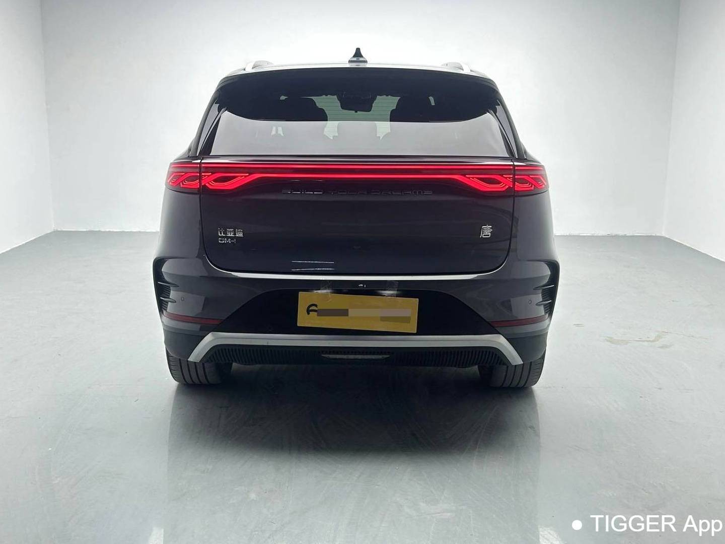 BYD TANG New Energy 2024 TANG DM-i 1.5T Stepless Honor Edition 112KM Honor Automatic Transmission