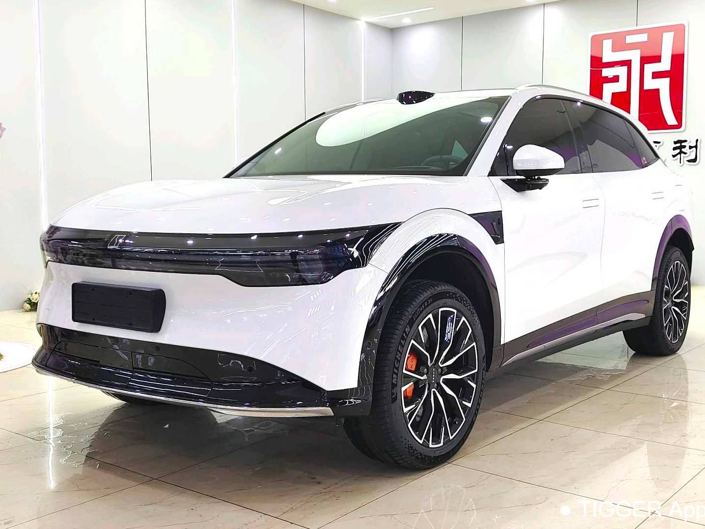 ZEEKR 2025 ZEEKR 7X 100kWh Long Range 4WD Intelligent Driving Edition Automatic Transmission