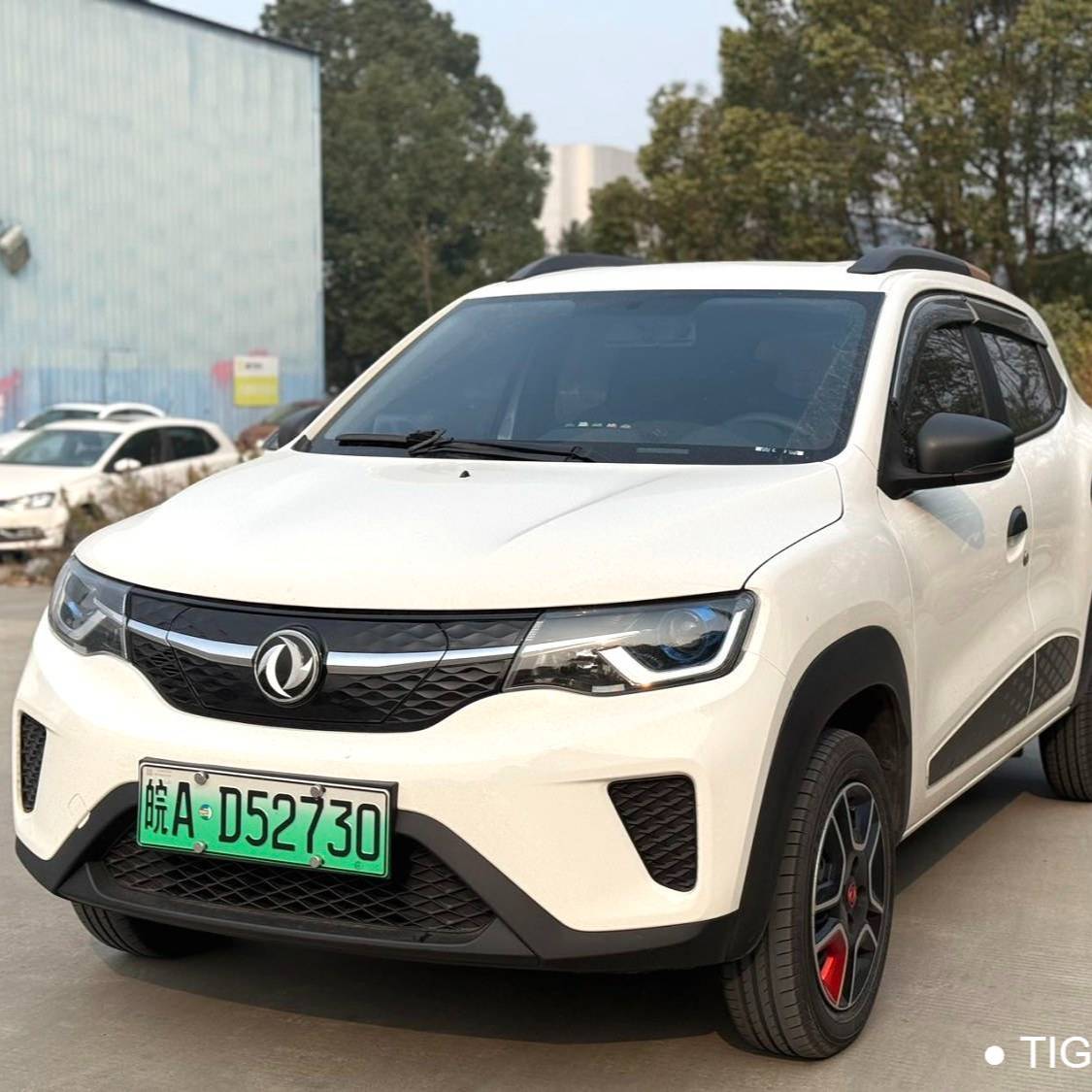 DONGFENG 2021 EX1 Quality Edition Automatic Transmission Used Car