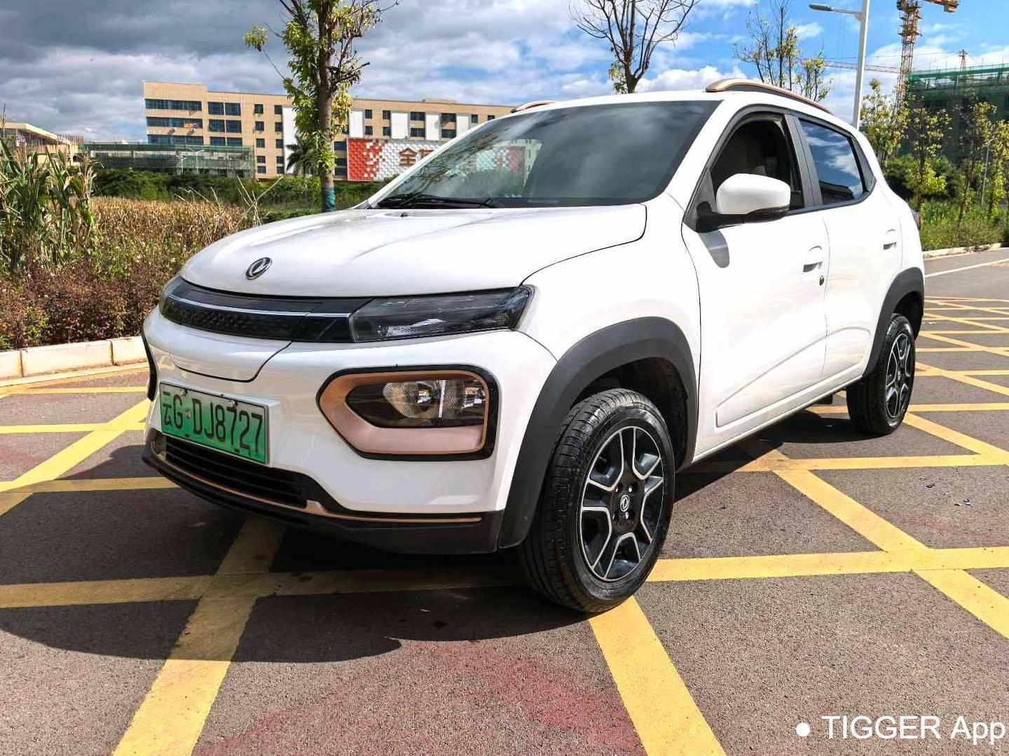 DONGFENG 2022 EX1 PRO Enjoyment Type (Modified) Automatic Transmission