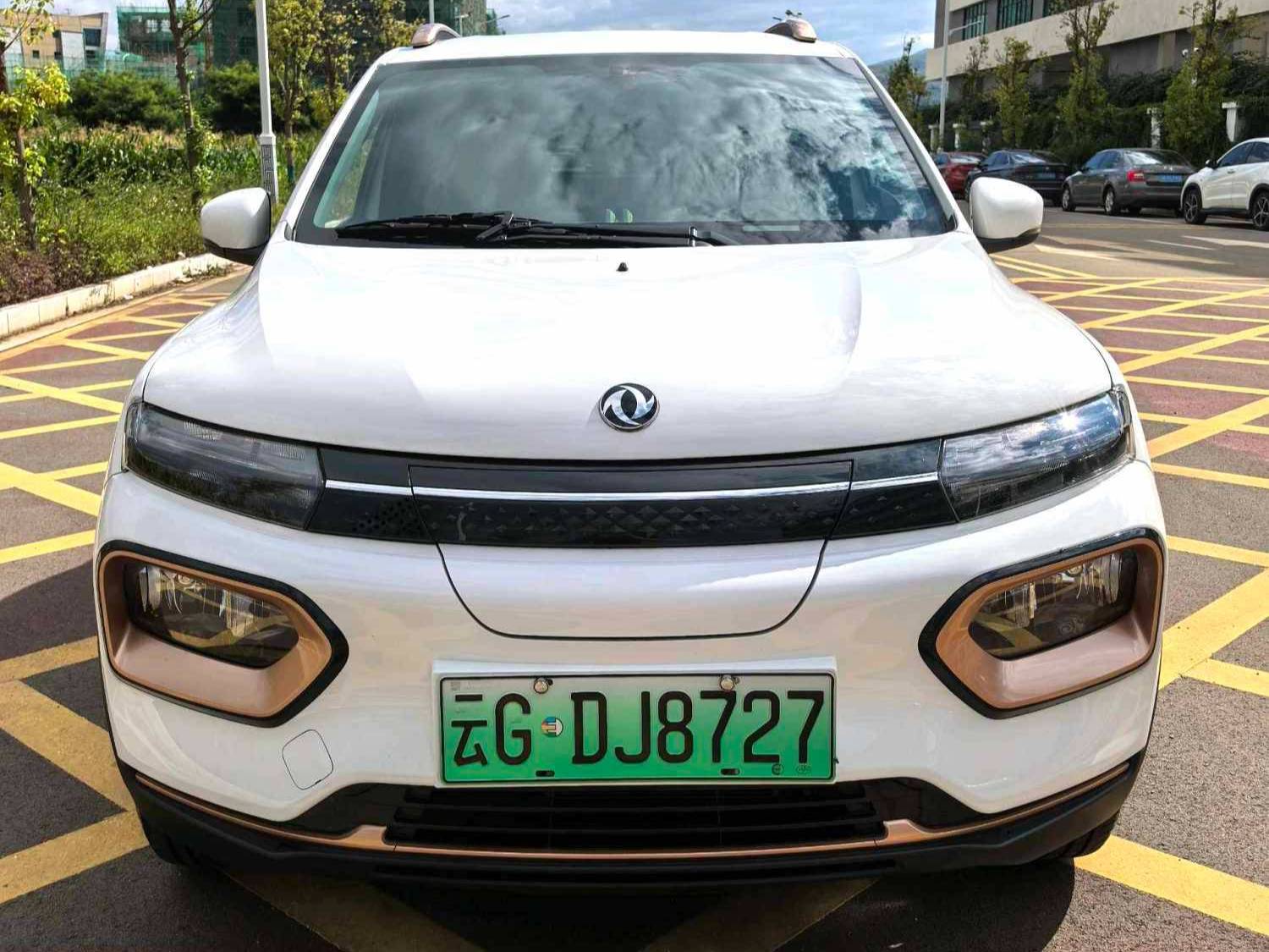 DONGFENG 2022 EX1 PRO Enjoyment Type (Modified) Automatic Transmission