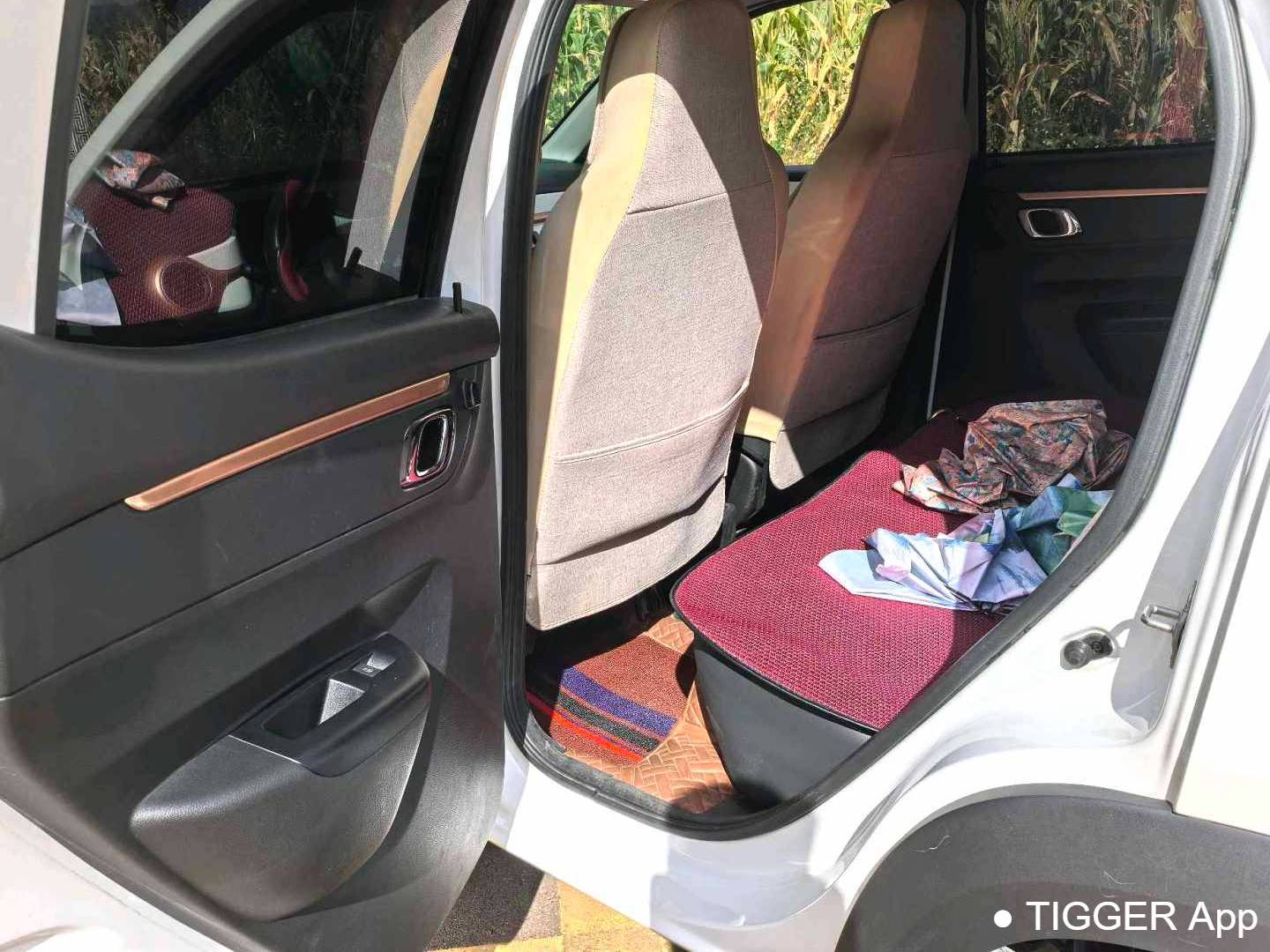DONGFENG 2022 EX1 PRO Enjoyment Type (Modified) Automatic Transmission