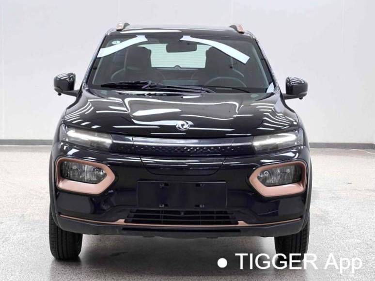 DONGFENG 2023 EX1 PRO Light Wind Edition Lightning Automatic Transmission