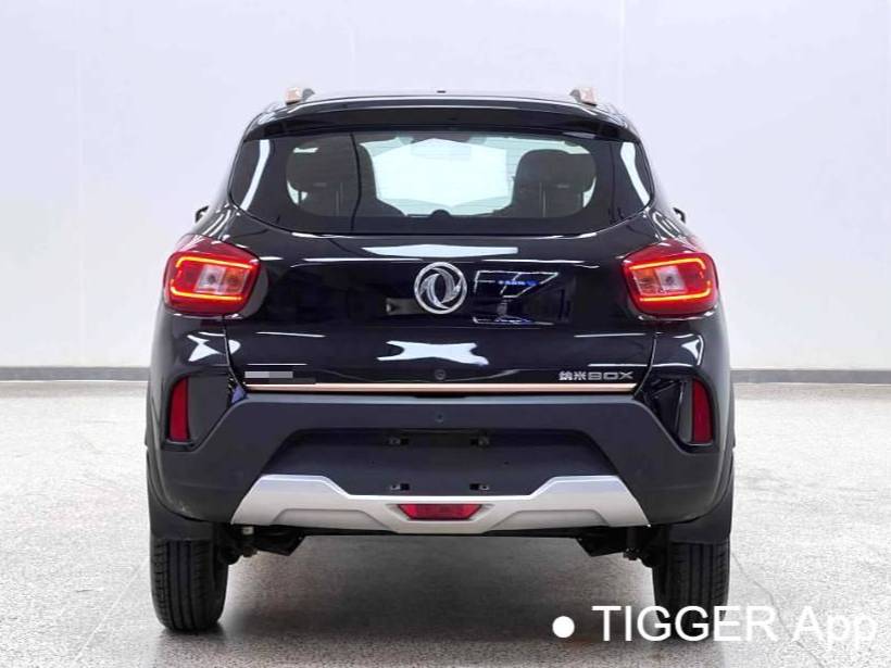 DONGFENG 2023 EX1 PRO Light Wind Edition Lightning Automatic Transmission